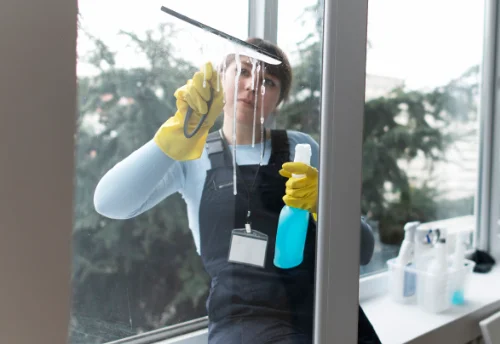 Nettoyage de vitres intérieures et extérieures à Brigueil-le-Chantre